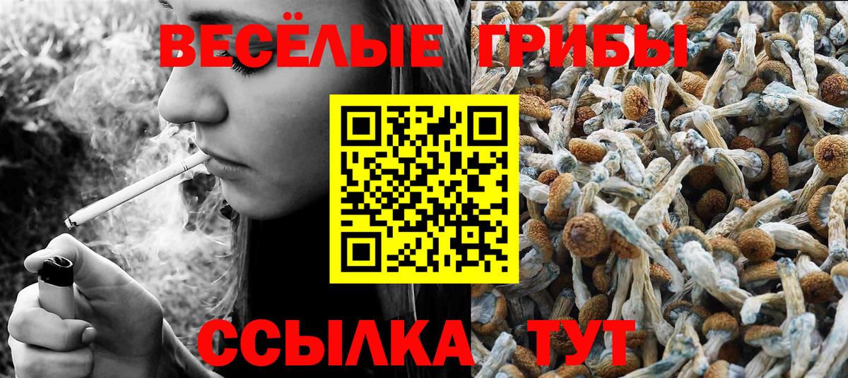 Псилоцибиновые грибы мицелий Санкт-Петербург